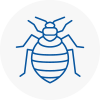 Bed Bug Extermination In Winnersh