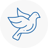 Bird Prevention Winnersh