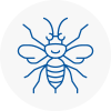 Winnersh Hornet Nest Removals