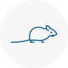Mice Exterminators In Winnersh