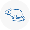 Rat Control Winnersh