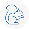 Winnersh Rodent Removals