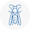 Winnersh Wasp Nest Removal